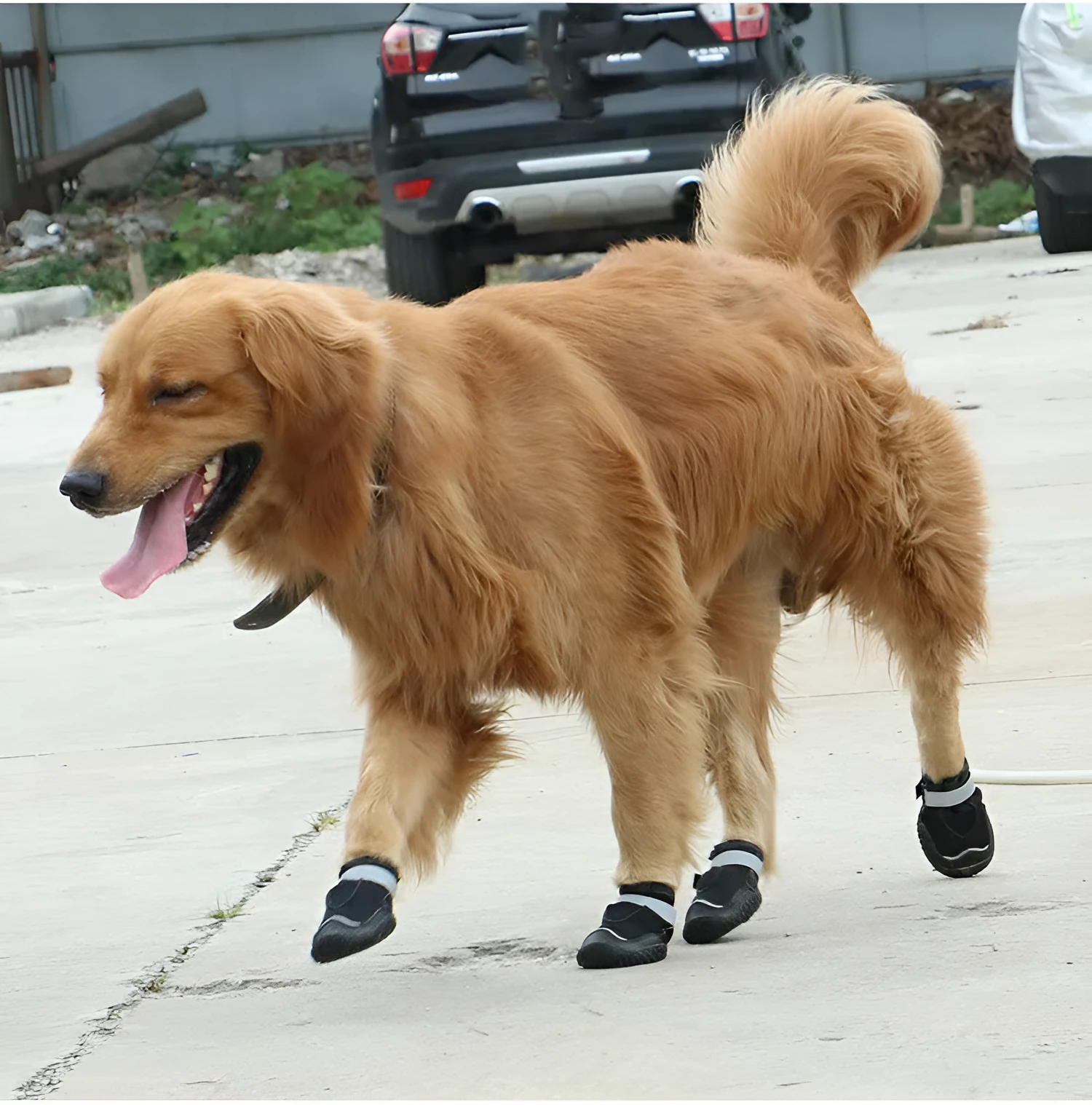 Grey wear-resistant breathable pet shoes with reflective tape and rubber outsole for dogs