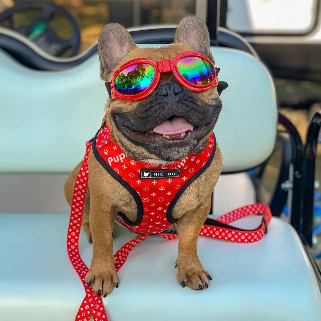Ins dog breathable mesh chest harness in red letter polyester, side view showing red lettering on chest and back panel