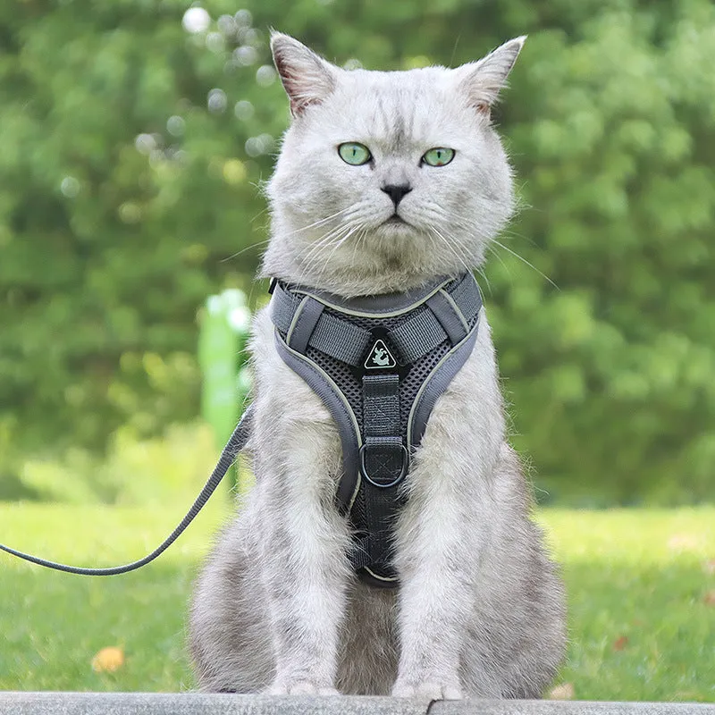 Cat anti-breakaway chest harness with 1.5-metre flat rope lead in grey, silver gradient chain detail
