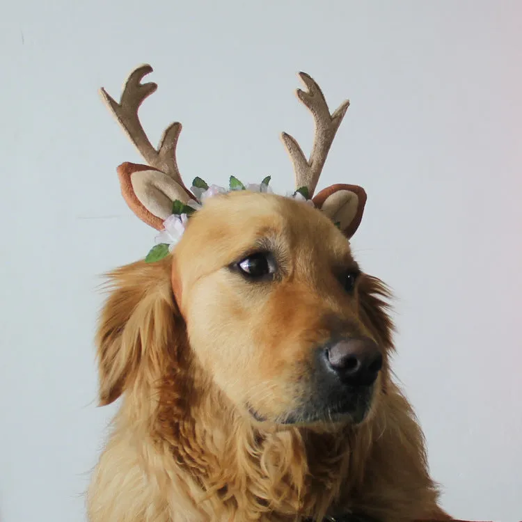 Christmas pet hat with short plush silk flower decoration on a small dog, available in three sizes