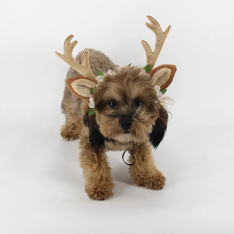 Christmas pet hat with short plush silk flower decoration on a small dog, available in three sizes