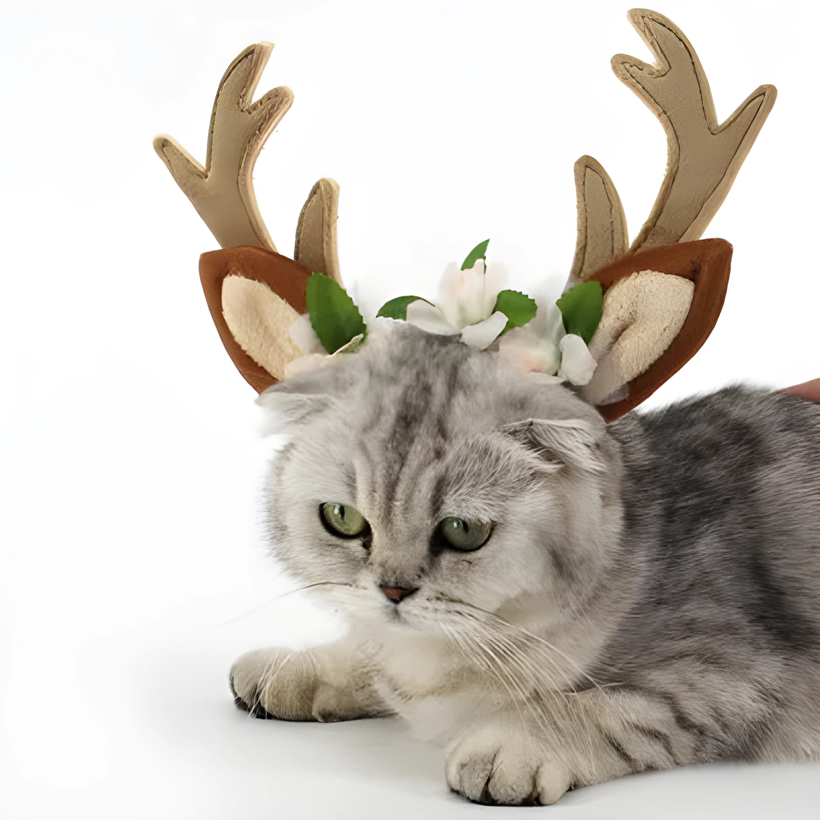 Christmas pet hat with short plush silk flower decoration on a small dog, available in three sizes