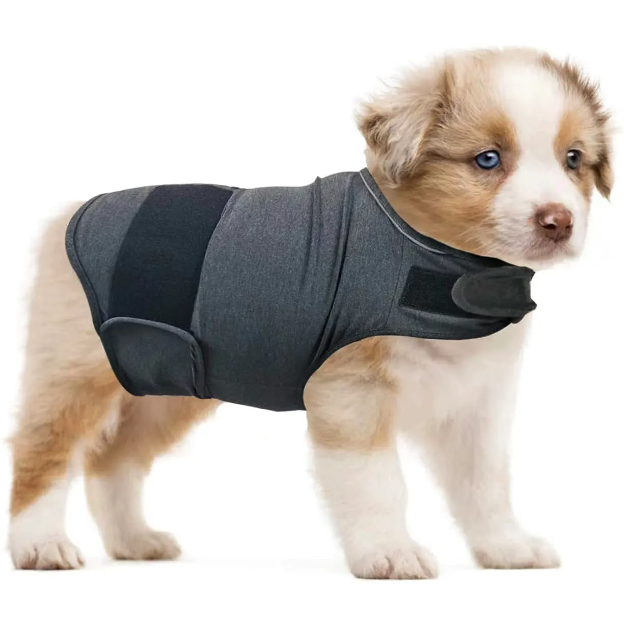 Brown brocade cotton dog anxiety tank top for separation relief, sized for medium dogs.