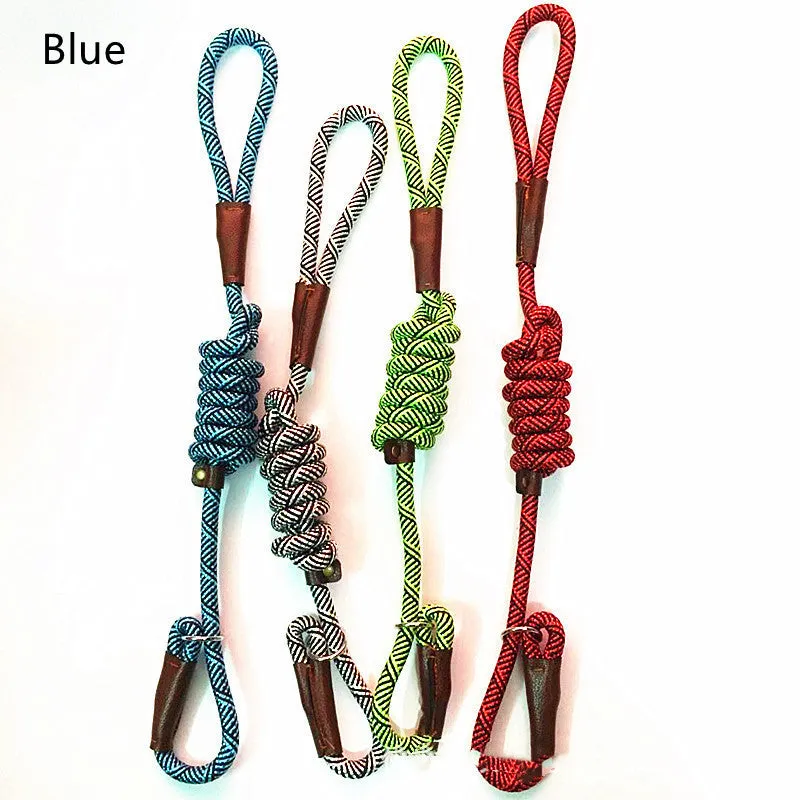 Nylon dog training leash 160cm length 1.2cm width in blue for medium dogs