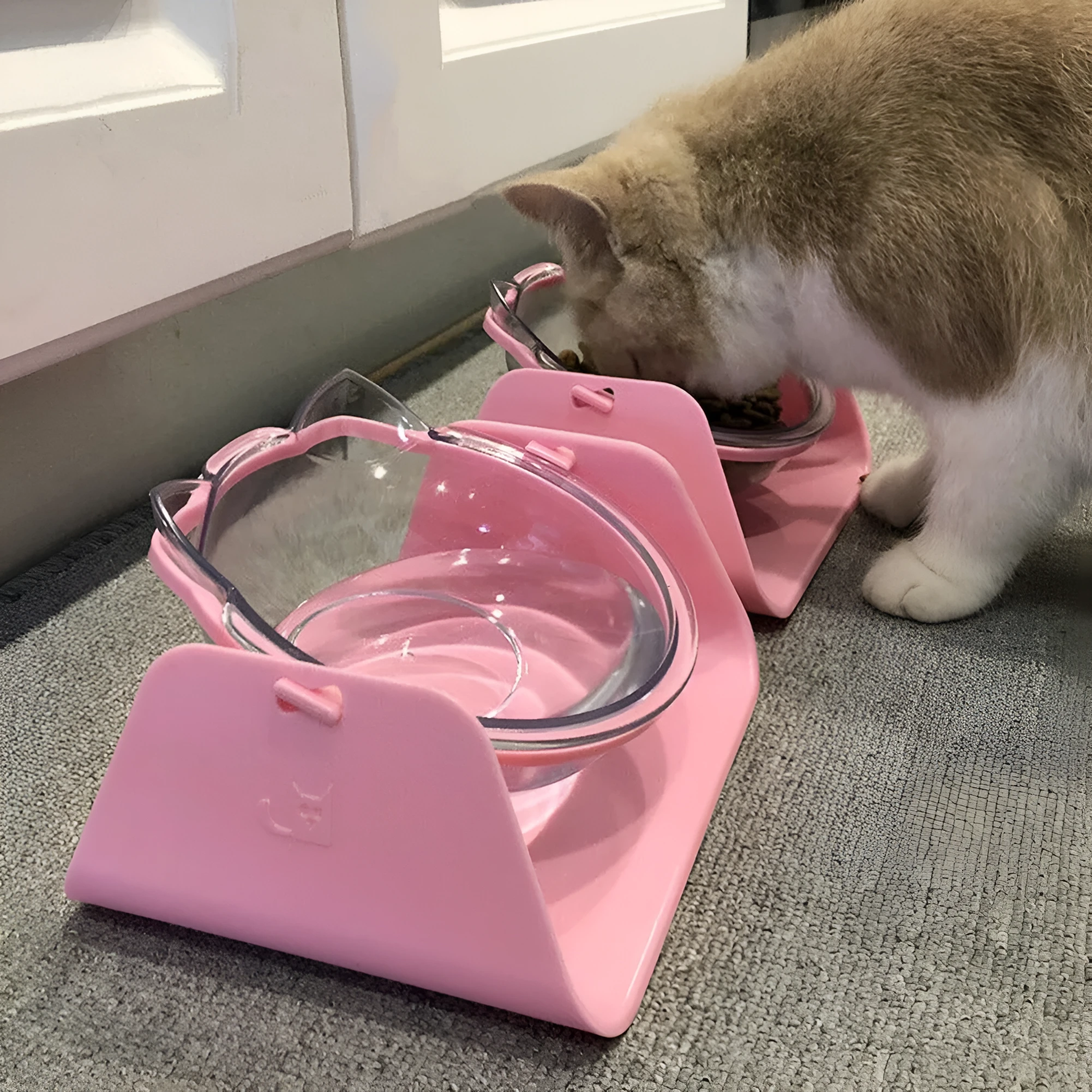 Adjustable plastic cat bowl in white with a 15-degree angle and non-slip base