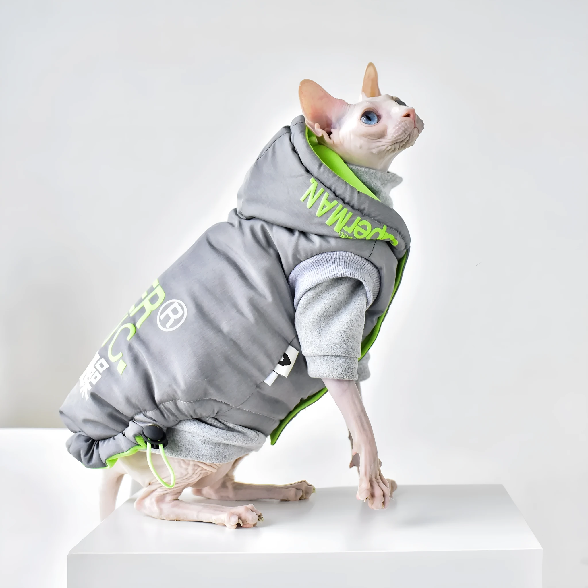 Hairless cat winter coat in Space Grey with windproof TPU polyester outer and cotton insulation, sized for Sphynx or similar breeds