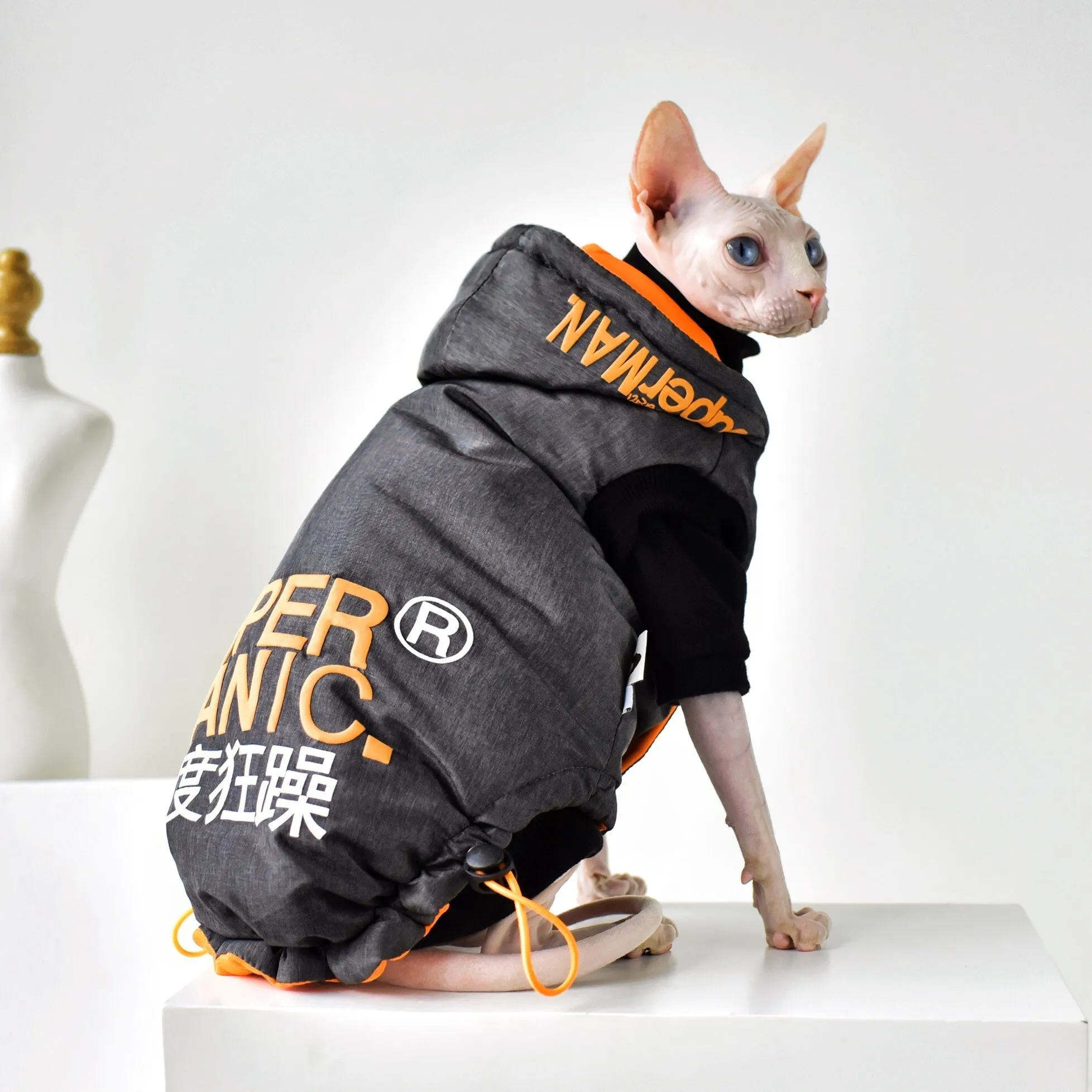 Hairless cat winter coat in Space Grey with windproof TPU polyester outer and cotton insulation, sized for Sphynx or similar breeds