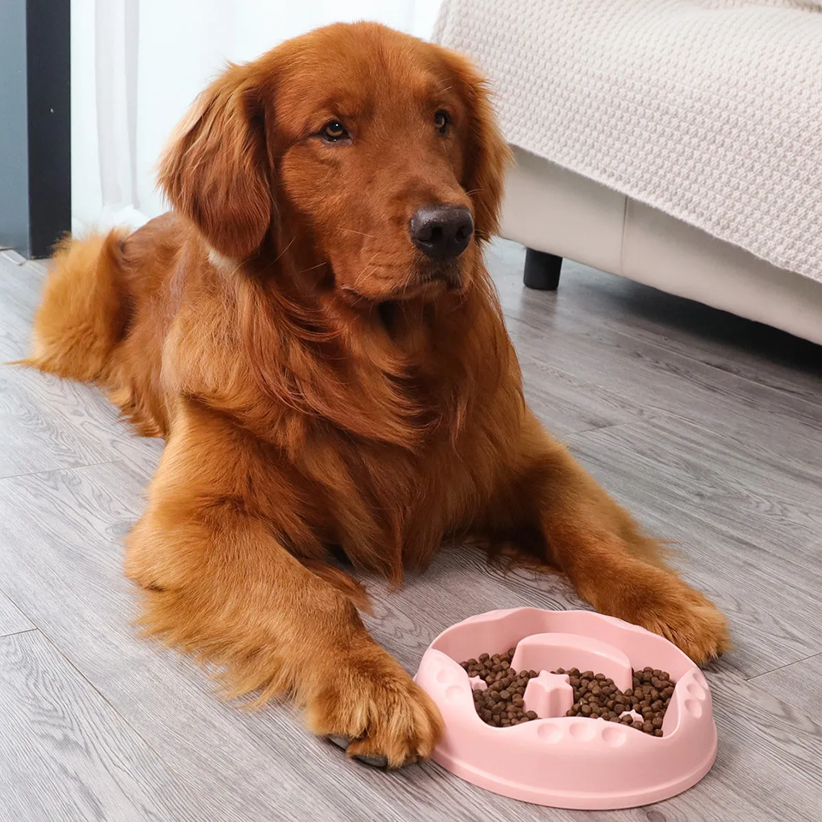 Large pet slow feeder bowl with moon and star obstacles inside, shown in blue colour.