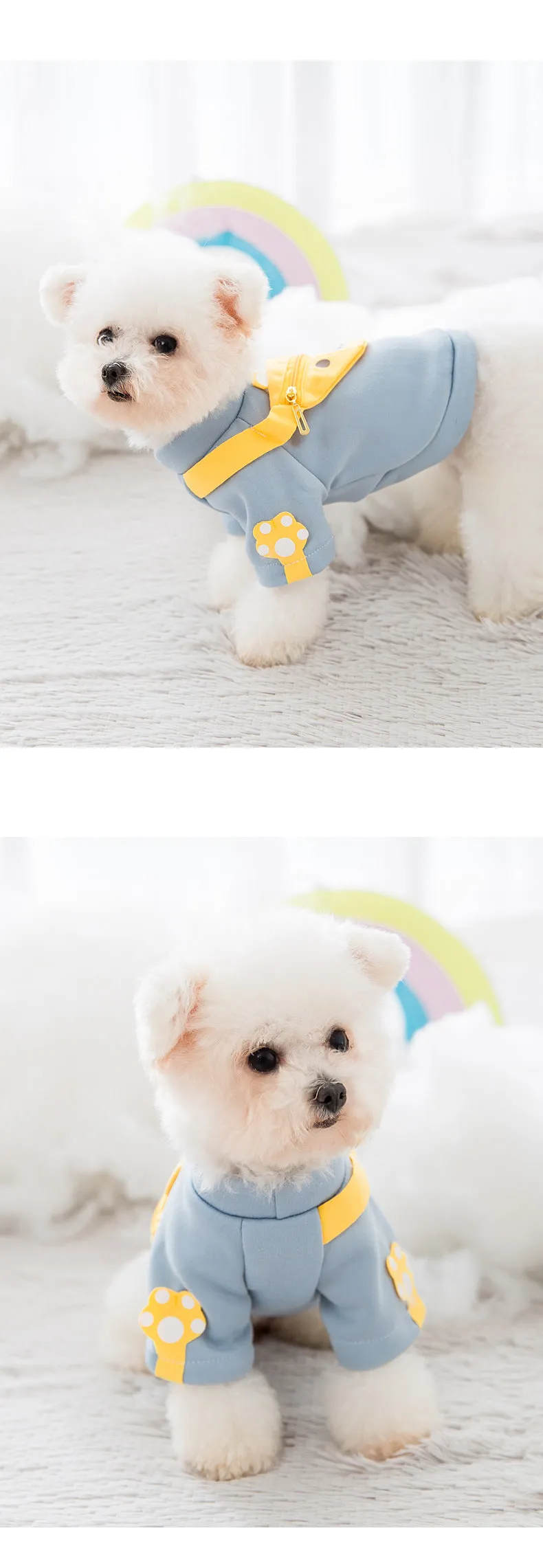 Blue cartoon backpack pet clothes milk silk sweater on small dog in side view