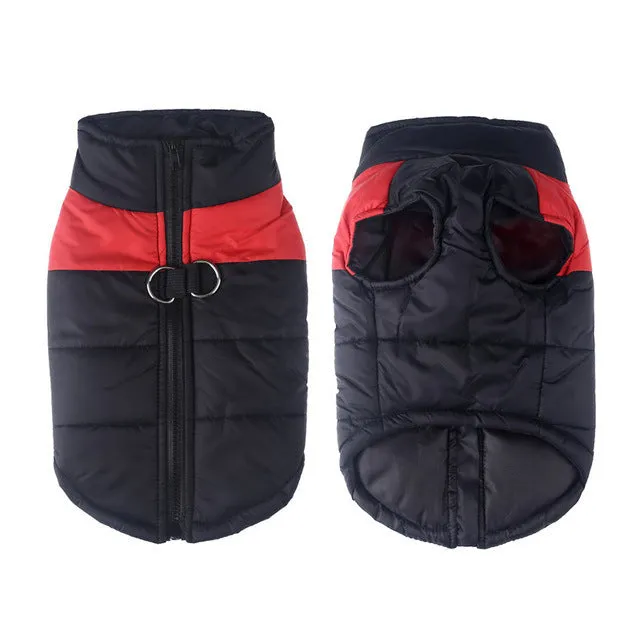 Glossy cotton dog vest in multiple colours for autumn winter wear, sizes S to 7XL