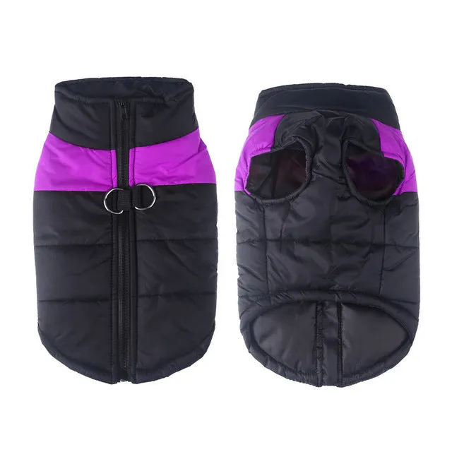 Glossy cotton dog vest in multiple colours for autumn winter wear, sizes S to 7XL