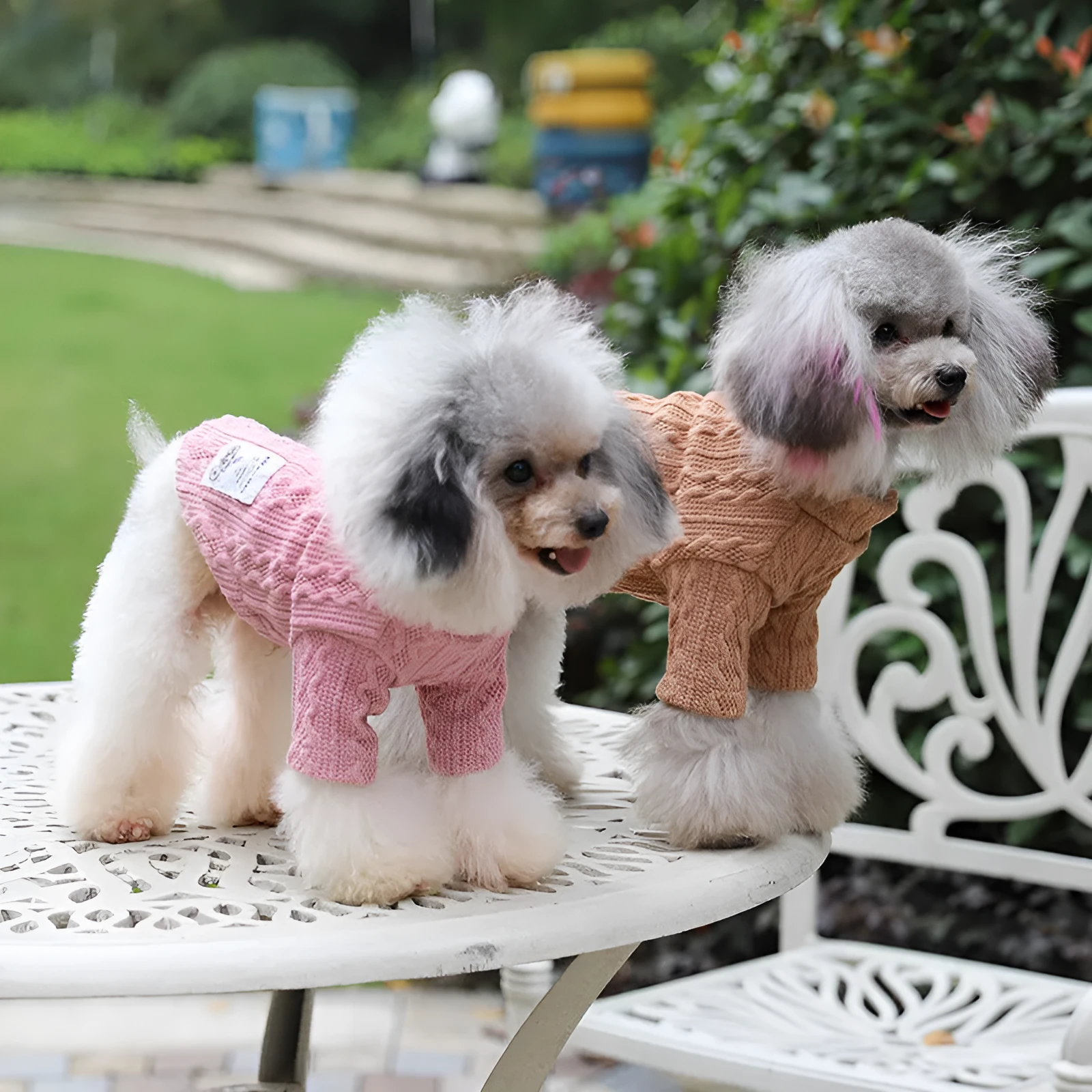 Thin acrylic pet dog sweater in grey on a dog, casual style