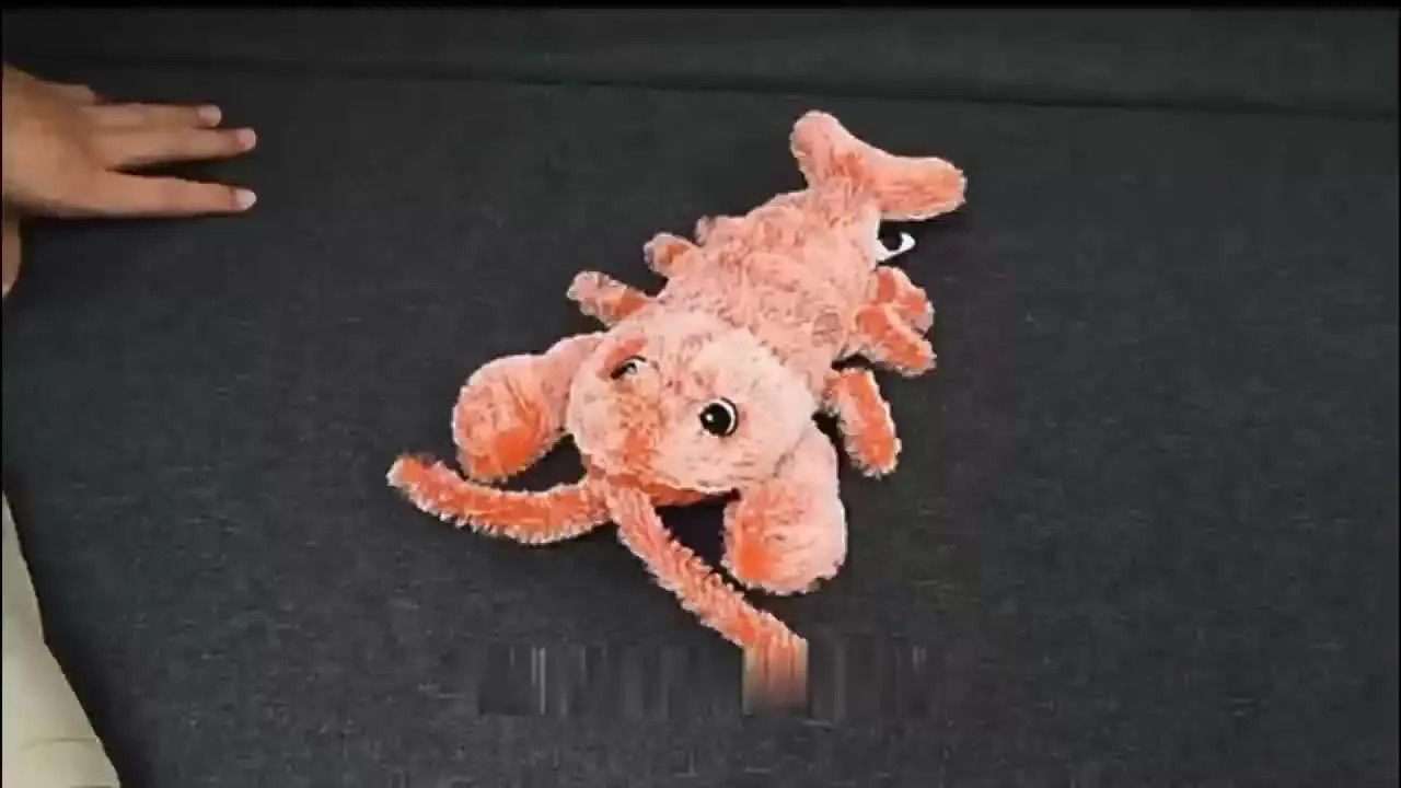 USB rechargeable plush lobster cat toy with motion sensor and catnip pocket on floor
