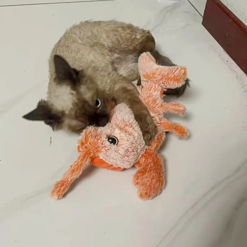 USB rechargeable plush lobster cat toy with motion sensor and catnip pocket on floor