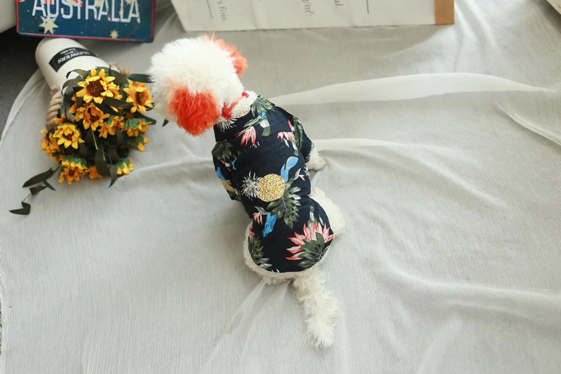 Dog clothes fashion shirt in cotton for small to large breeds available in wine red pineapple black pineapple black crocodile white pineapple white crocodile and black white crocodile patterns with size chart XS to XXL and FB by collar bust back length