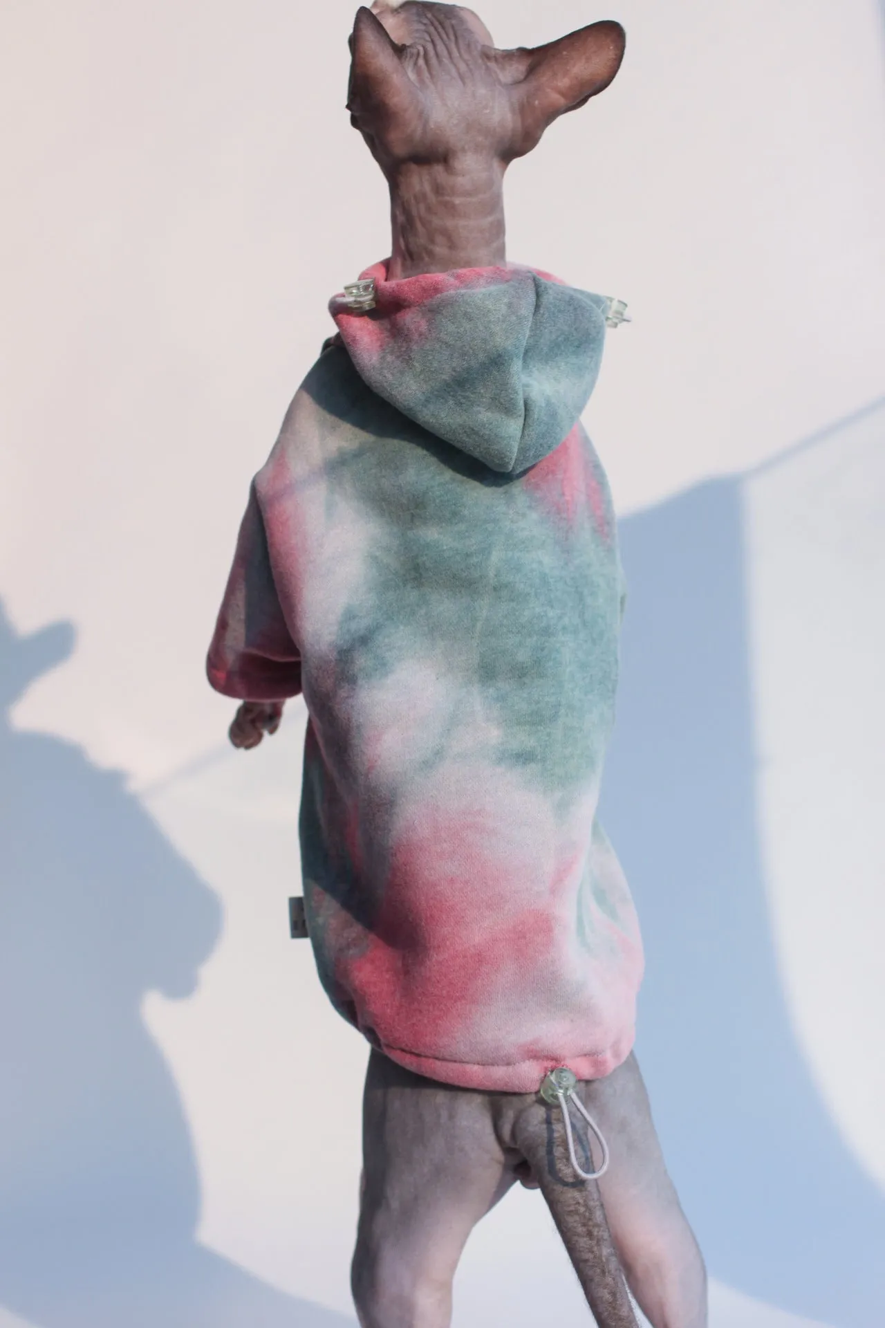 Thick tie-dye hooded cotton pet sweater in red yellow blue for cats and dogs, autumn winter wear