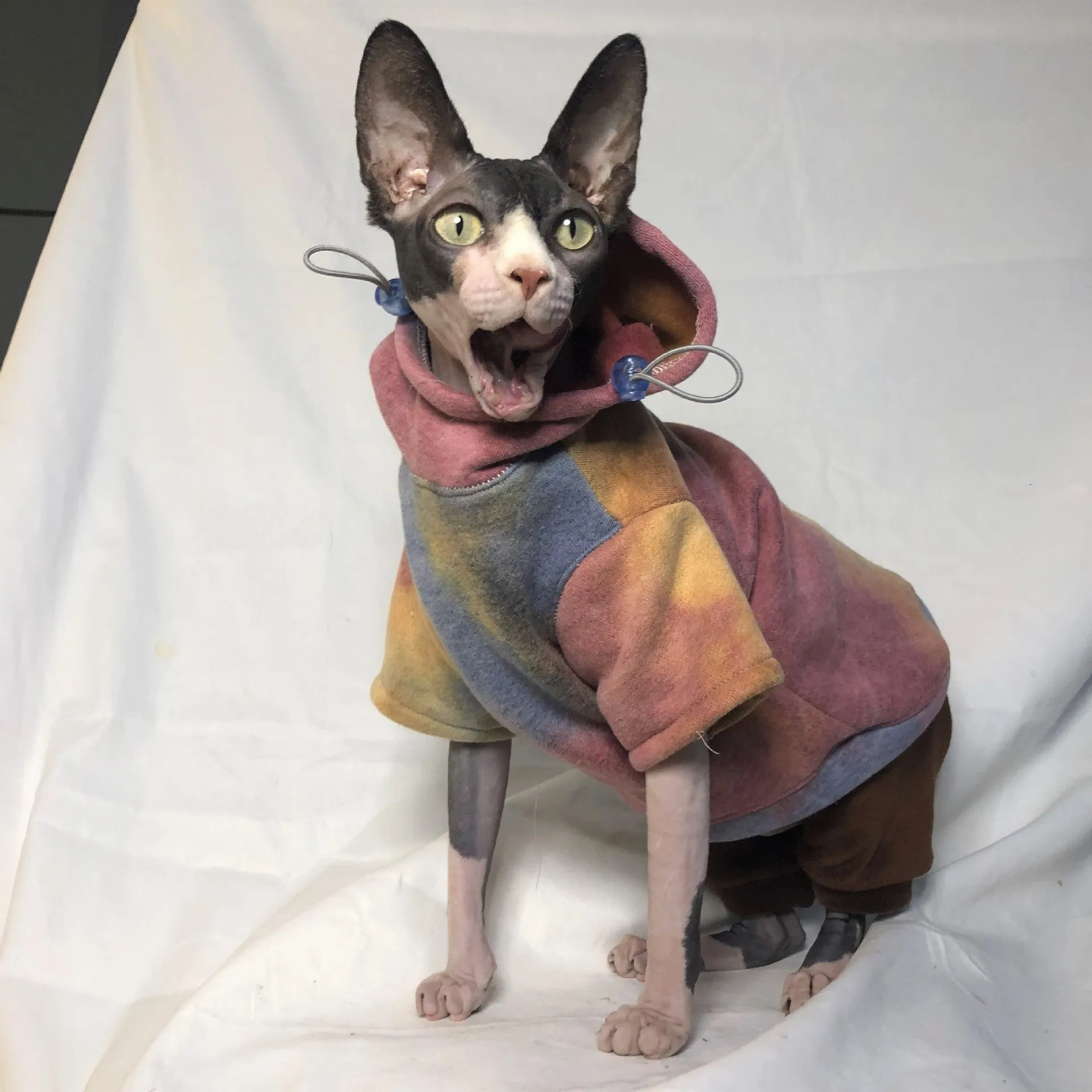 Thick tie-dye hooded cotton pet sweater in red yellow blue for cats and dogs, autumn winter wear