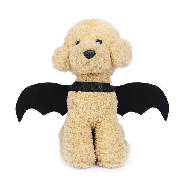 Black bat wing pet costume on dog, polyester felt fabric, Halloween outfit with wing shape
