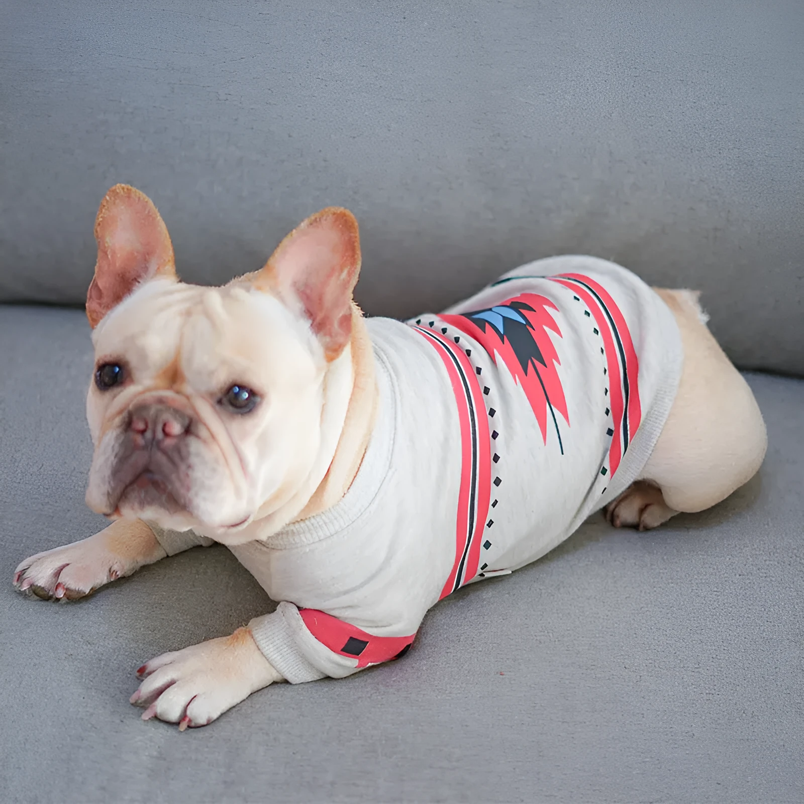 Blue and light grey cotton dog fighting clothes in sizes FB, LL, and XXL with back length bust and neck measurements