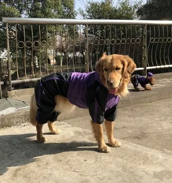 Large dog pet raincoat in green made from waterproof nylon with adjustable size for outdoor wet weather walking