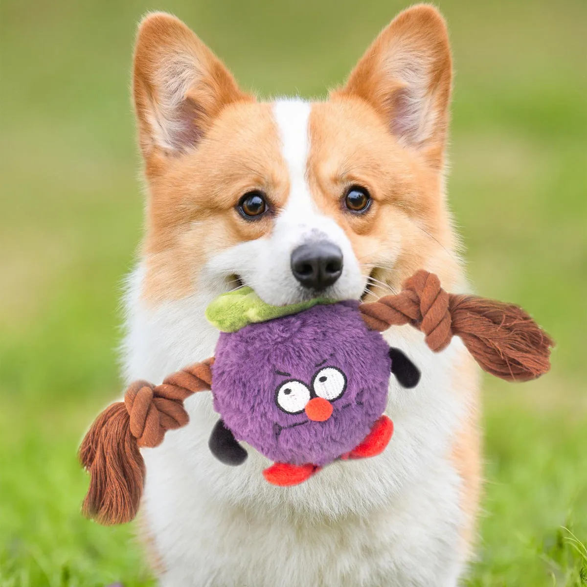 Green and purple interactive dog tug toy with long knotted rope and plush section