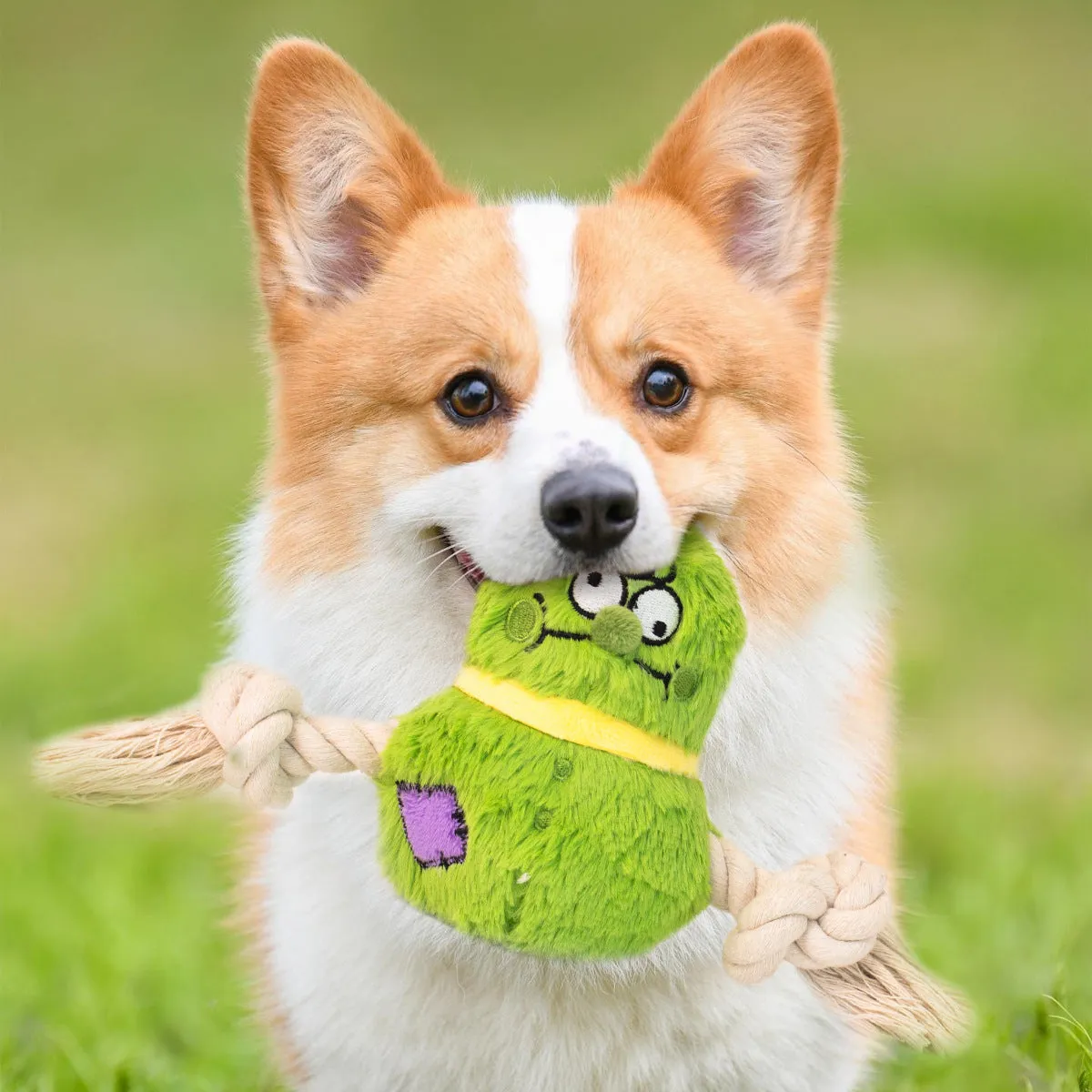 Green and purple interactive dog tug toy with long knotted rope and plush section