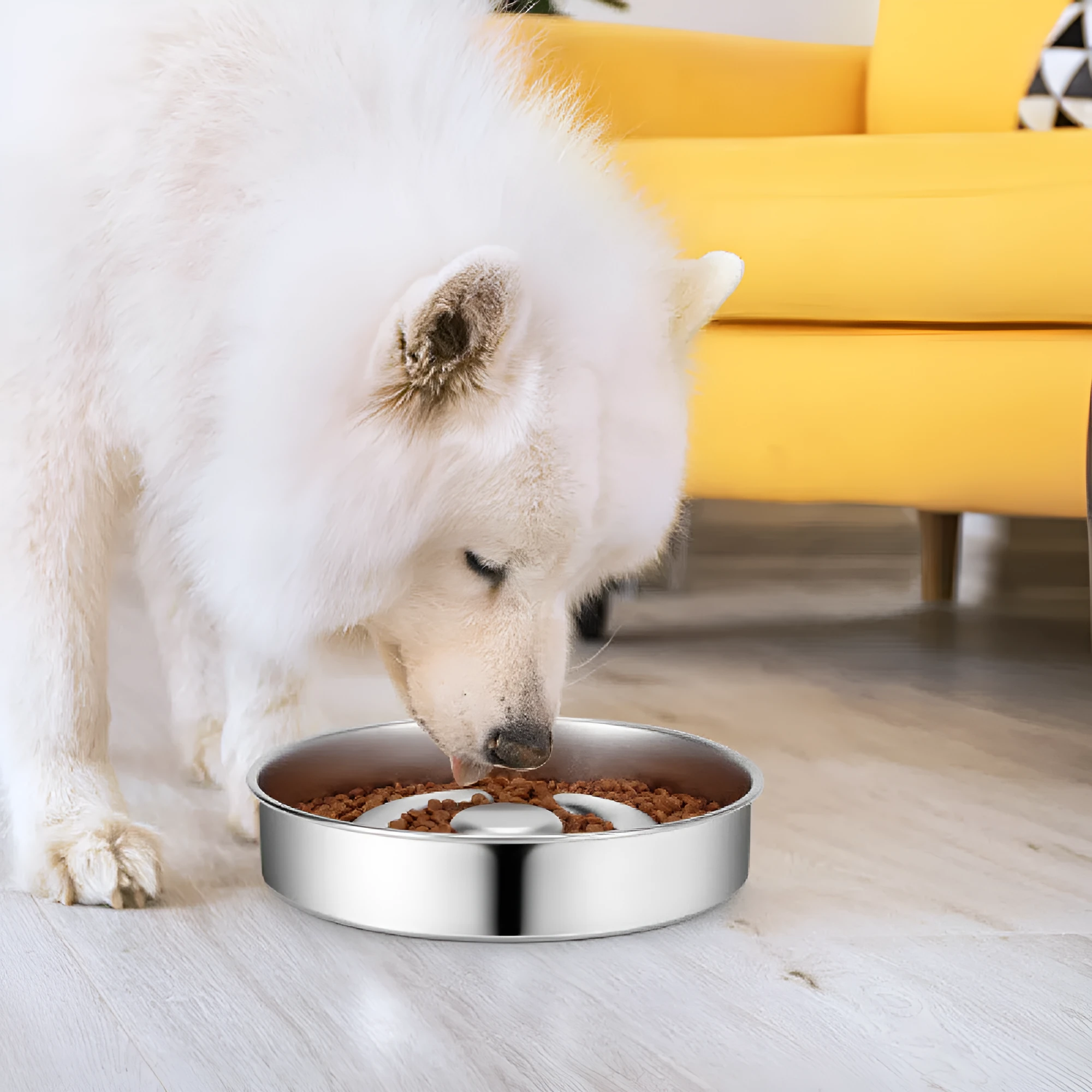 Stainless steel slow feeding bowl with neck protector for dogs and cats in cowhide box