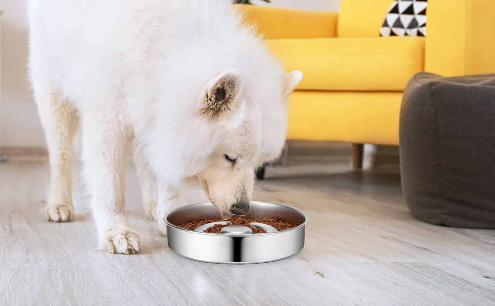 Stainless steel slow feeding bowl with neck protector for dogs and cats in cowhide box