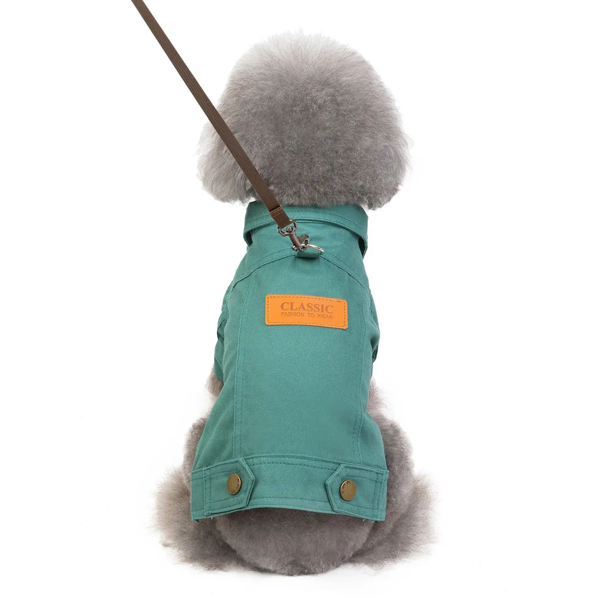 Blue cotton two-leg casual top for small dog on white background