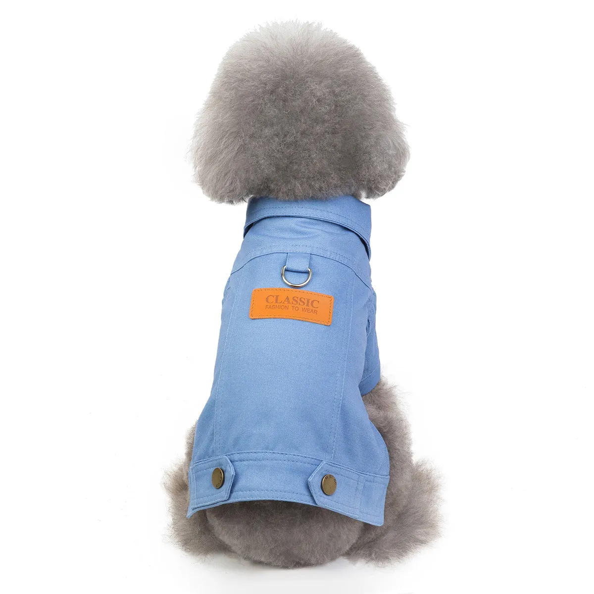 Blue cotton two-leg casual top for small dog on white background