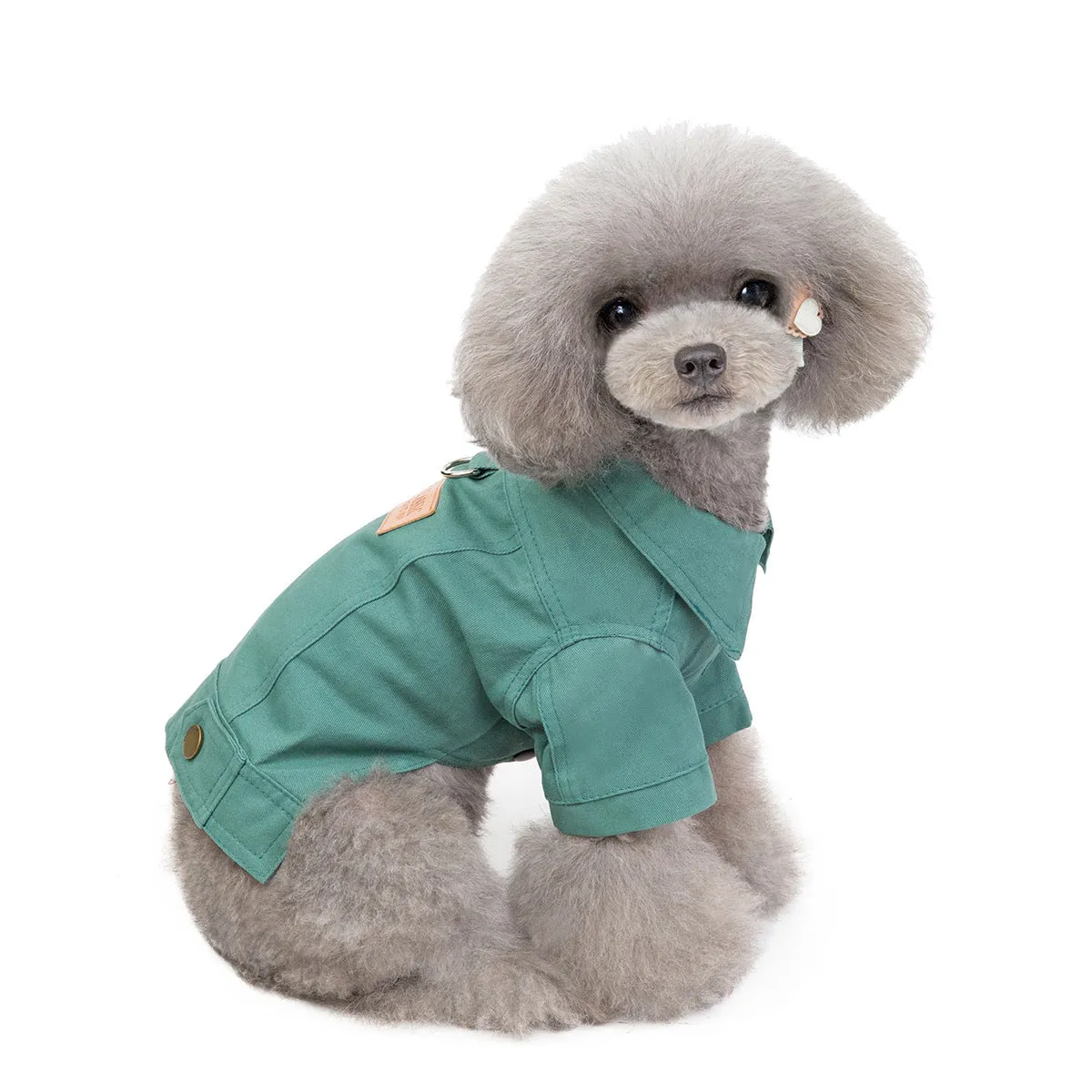 Blue cotton two-leg casual top for small dog on white background
