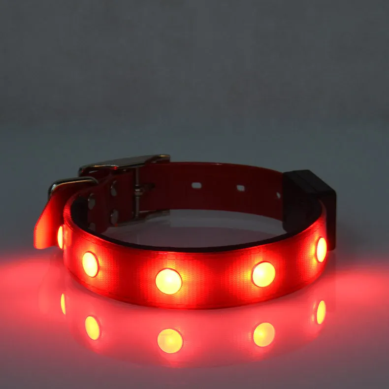 Luminous waterproof TPU dog collar in blue, adjustable free size, USB rechargeable night light