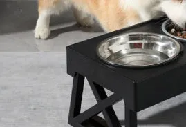 Adjustable elevated stainless steel anti-choke slow food dog bowl with double bowl set on floor