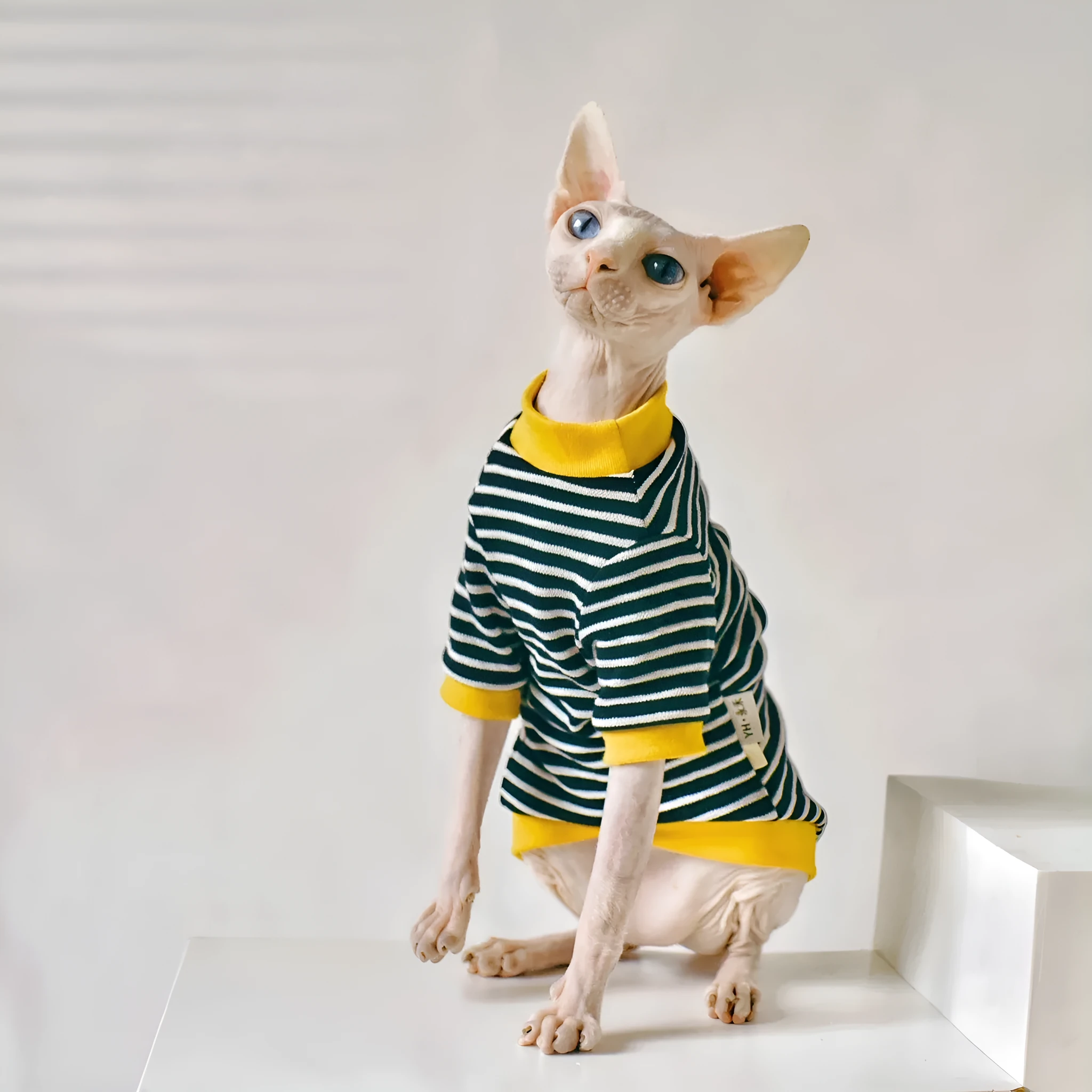 Black cotton top for Sphinx hairless cat in Europe America style, sizes XS-XXL