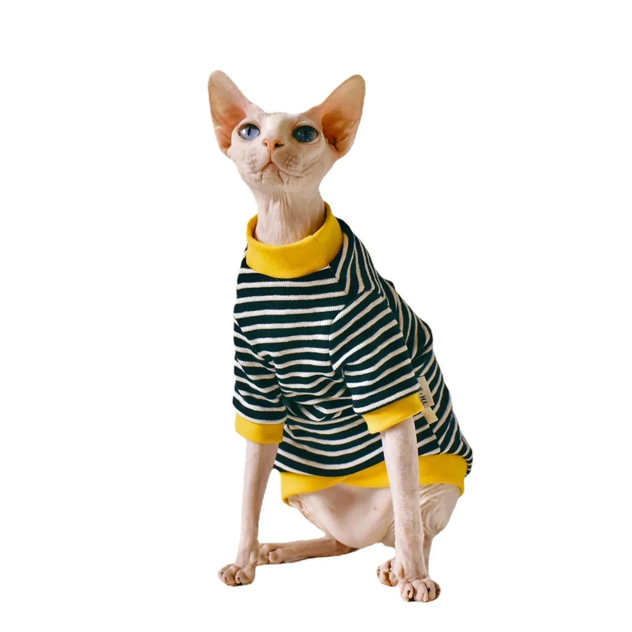 Black cotton top for Sphinx hairless cat in Europe America style, sizes XS-XXL