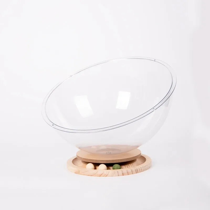 Transparent acrylic cat space capsule bathtub bed showing clear walls and capsule shape