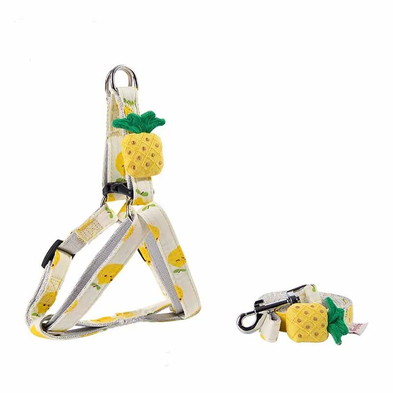 Fruit print dog collar and leash set in green fragrant pear colour for small dogs