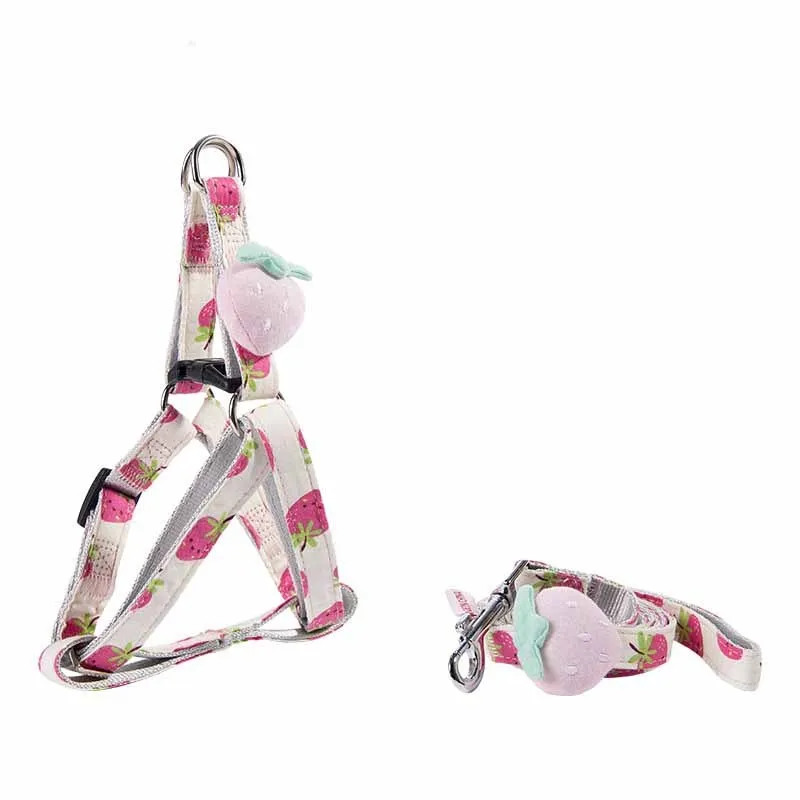Fruit print dog collar and leash set in green fragrant pear colour for small dogs