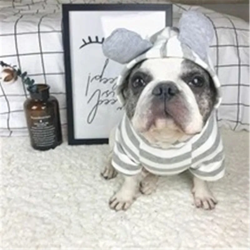 Grey cotton striped sweater on a small pet with ribbed trim