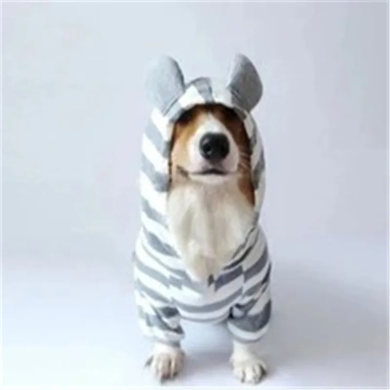 Grey cotton striped sweater on a small pet with ribbed trim