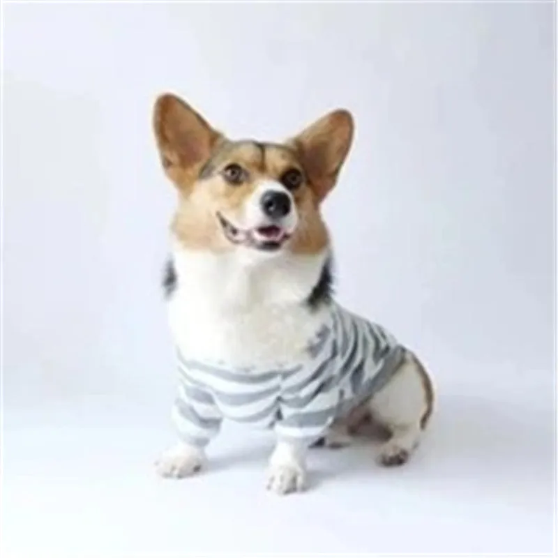 Grey cotton striped sweater on a small pet with ribbed trim