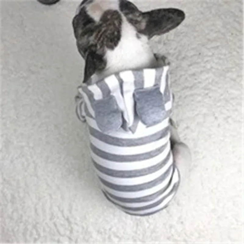 Grey cotton striped sweater on a small pet with ribbed trim