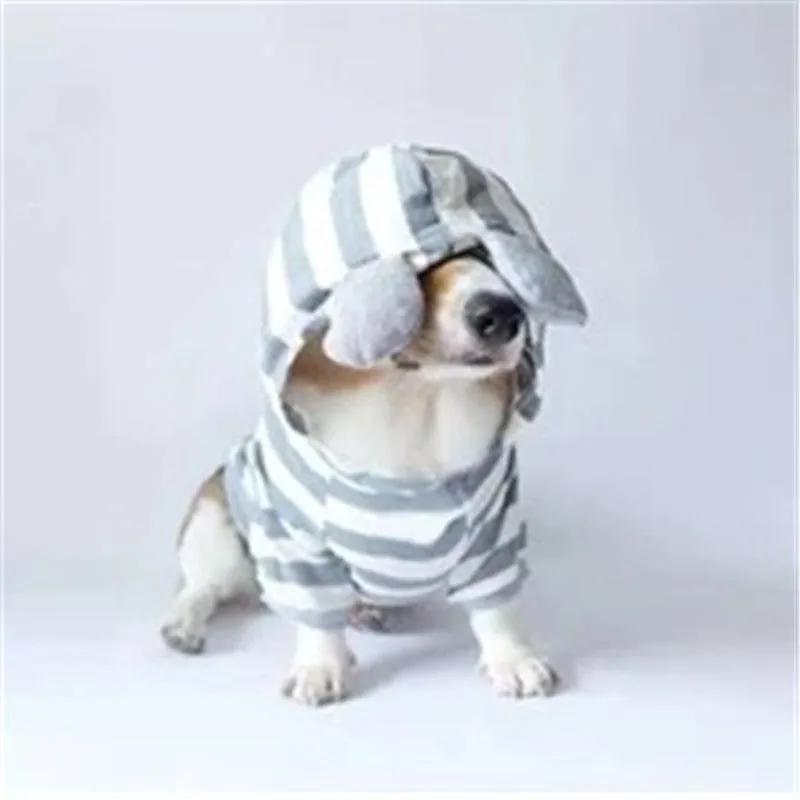 Grey cotton striped sweater on a small pet with ribbed trim