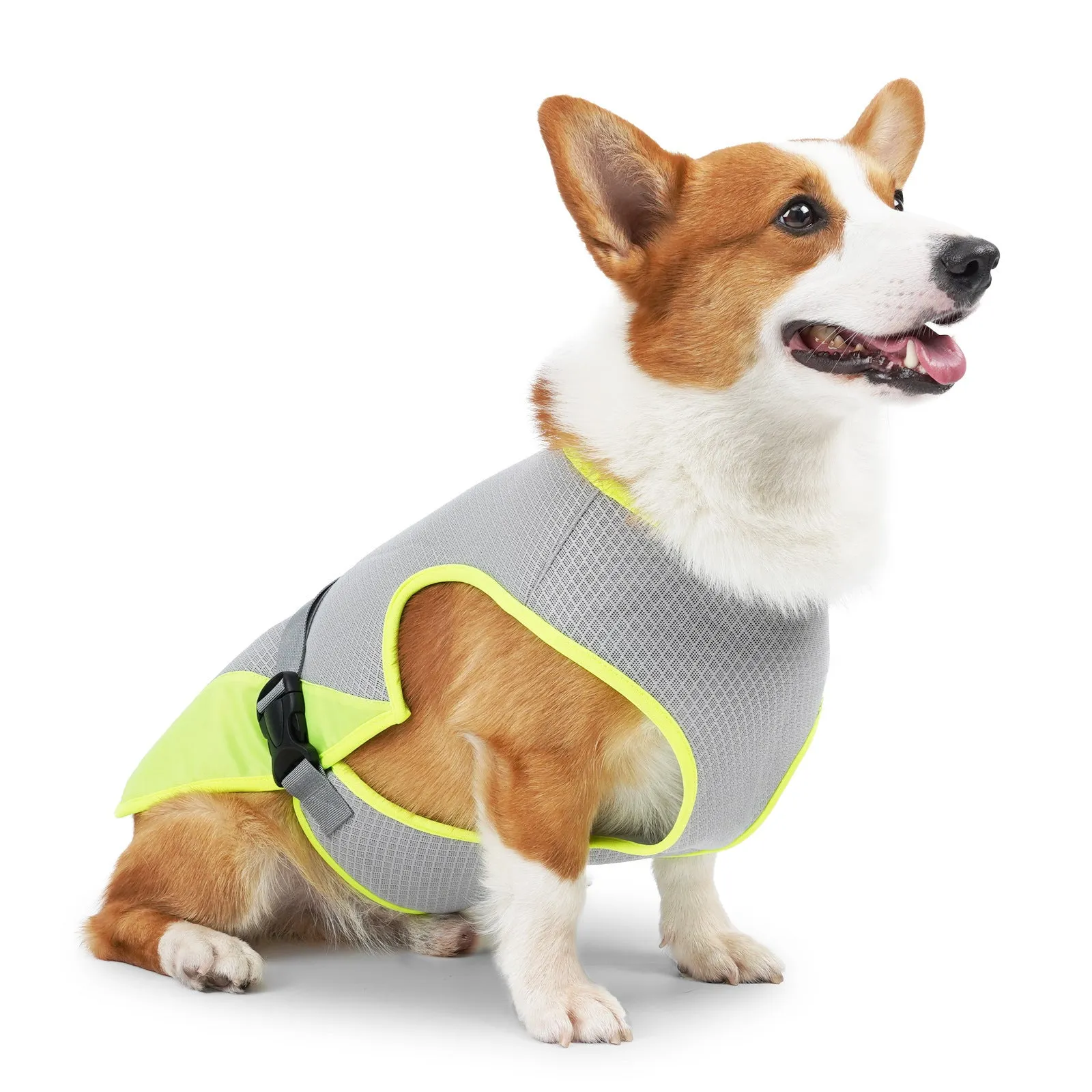 Dog wearing grey cooling vest with breathable Polyester fabric for heatstroke prevention