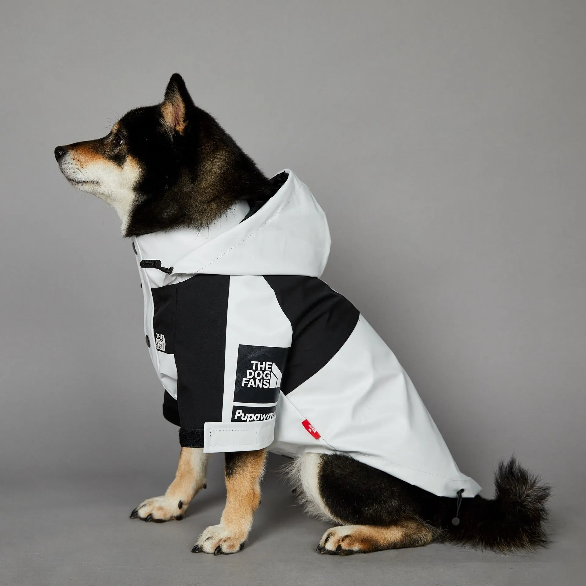 Light green windproof rainproof large dog raincoat in polyester with adjustable fit for sizes S to 5XL