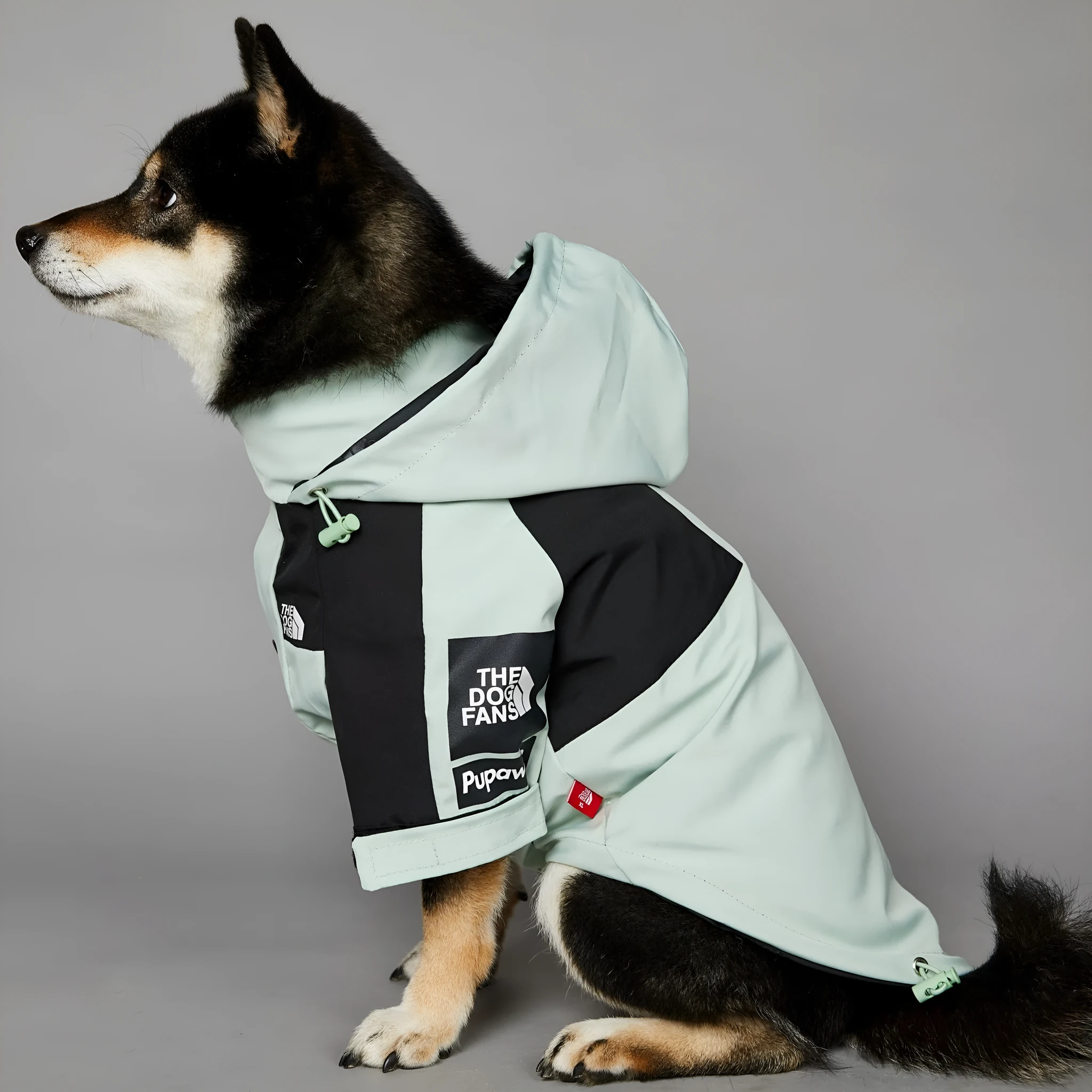 Light green windproof rainproof large dog raincoat in polyester with adjustable fit for sizes S to 5XL