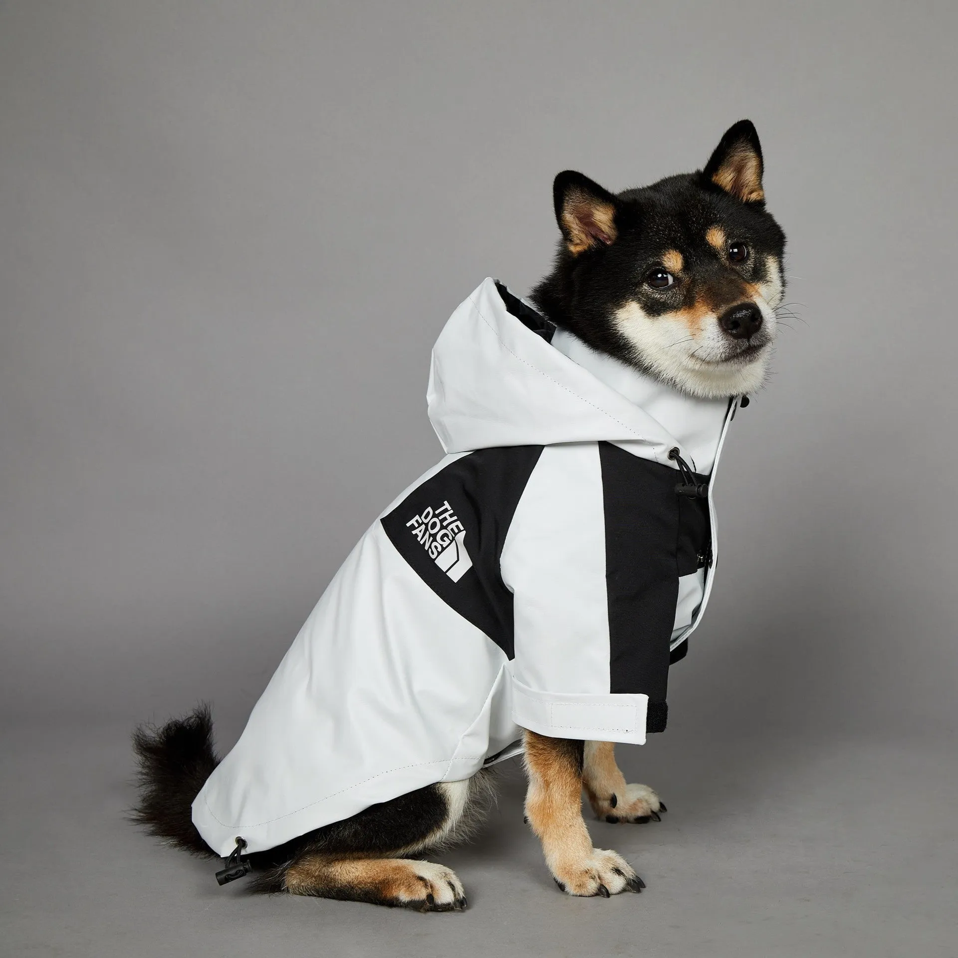 Light green windproof rainproof large dog raincoat in polyester with adjustable fit for sizes S to 5XL