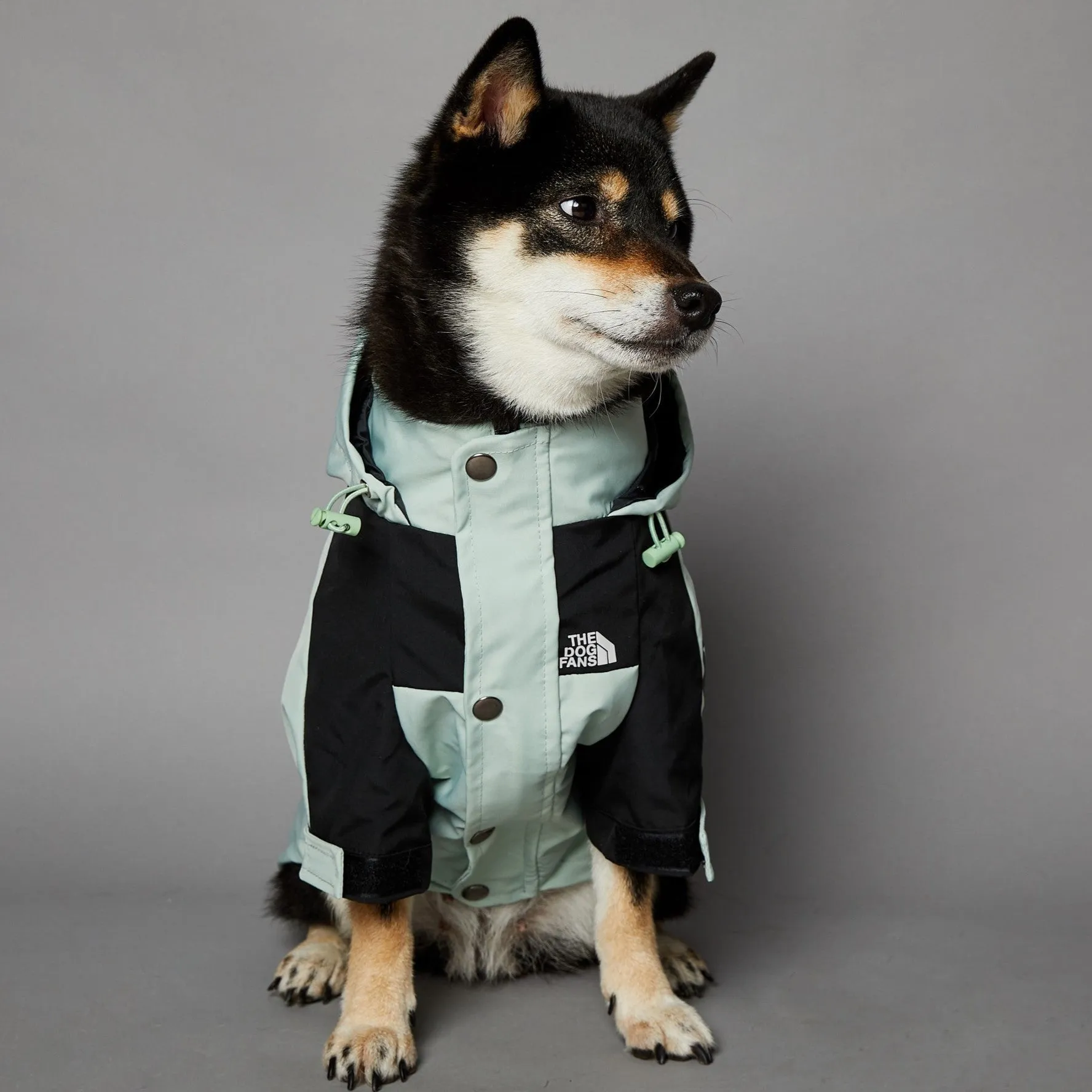 Light green windproof rainproof large dog raincoat in polyester with adjustable fit for sizes S to 5XL