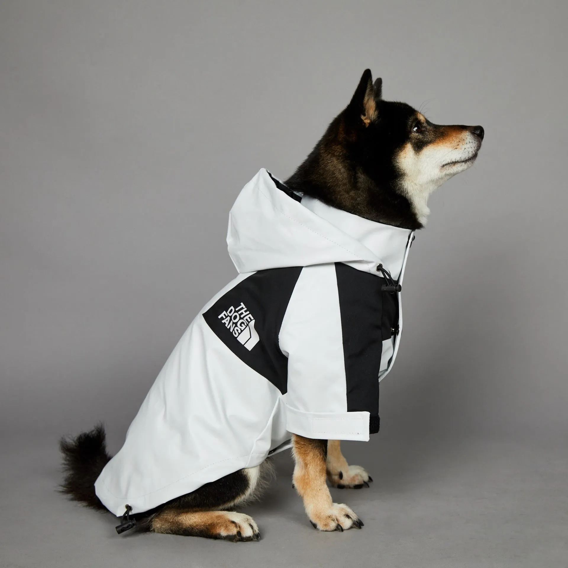 Light green windproof rainproof large dog raincoat in polyester with adjustable fit for sizes S to 5XL