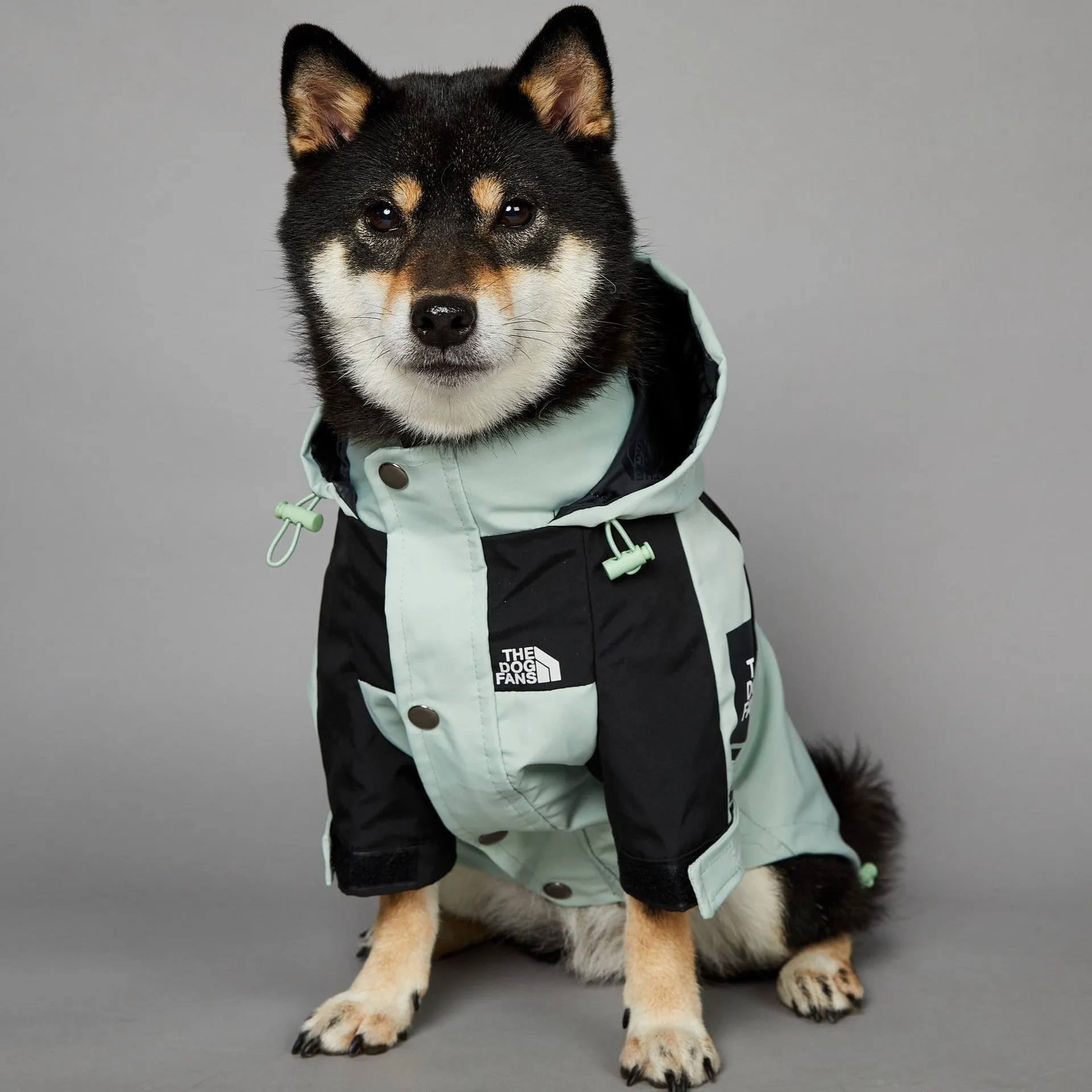 Light green windproof rainproof large dog raincoat in polyester with adjustable fit for sizes S to 5XL